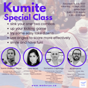 Kumite Special Class